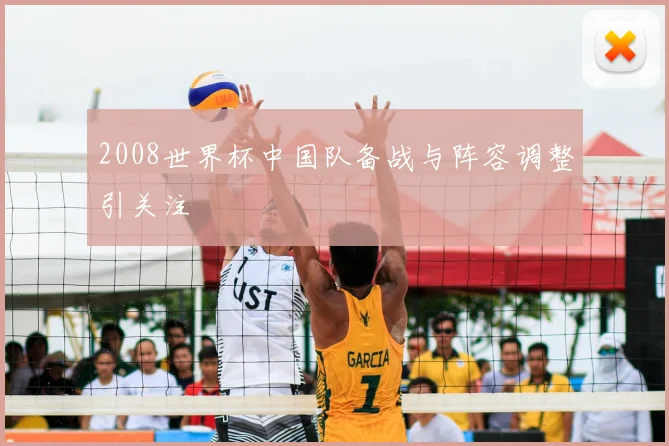 2008世界杯中国队备战与阵容调整引关注