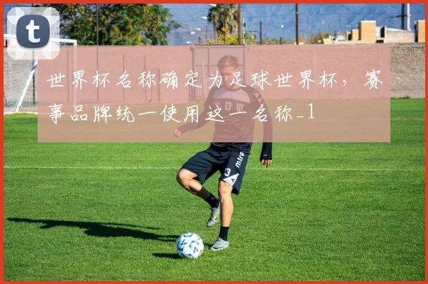 世界杯名称确定为足球世界杯，赛事品牌统一使用这一名称_1