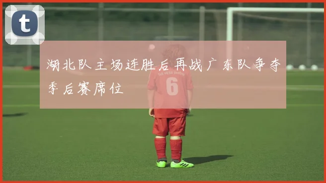 湖北队主场连胜后再战广东队争夺季后赛席位
