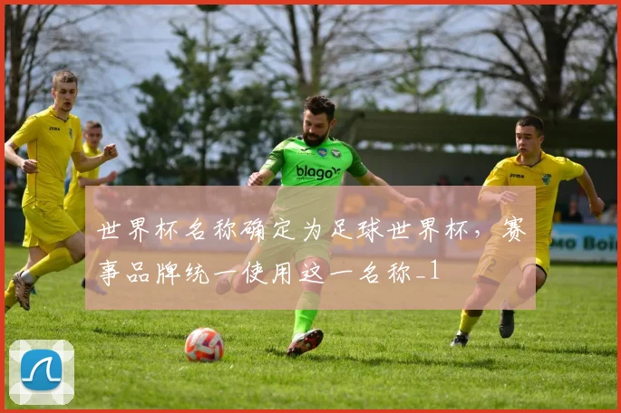 世界杯名称确定为足球世界杯，赛事品牌统一使用这一名称_1