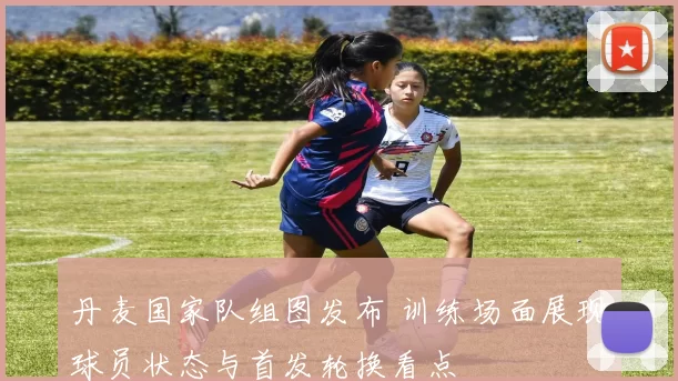 丹麦国家队组图发布 训练场面展现球员状态与首发轮换看点