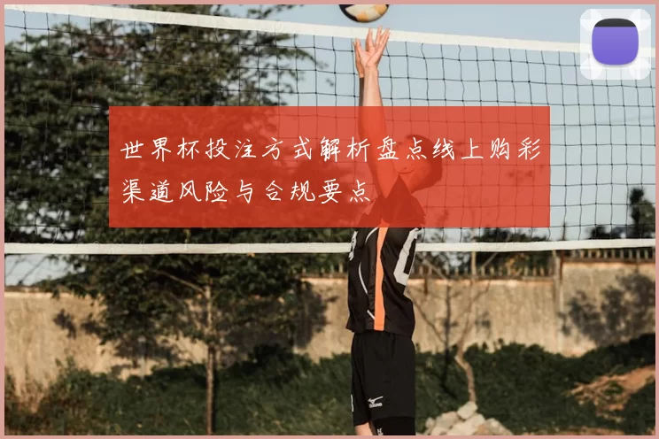 世界杯投注方式解析盘点线上购彩渠道风险与合规要点